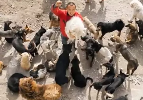 Câinii i-au mâncat toți banii! Un chinez milionar a reușit să intre în faliment în trei ani | VIDEO