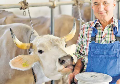 VESTE BUNĂ PENTRU FERMIERI! Vor primi bani