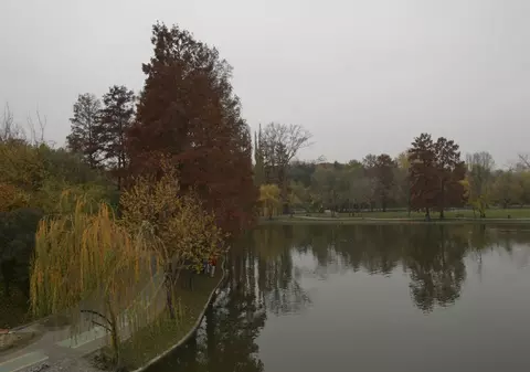 Cum va fi vremea LUNI și MARȚI