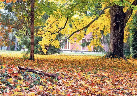 PROGNOZA METEO | Cum va fi VREMEA în următoarele zile