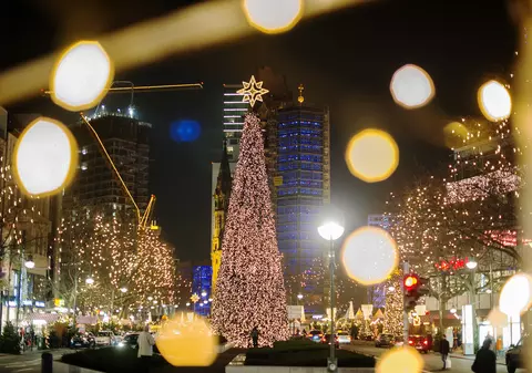 Cum arată brazii în marile orașe ale lumii și cinci curiozități despre bradul de Crăciun