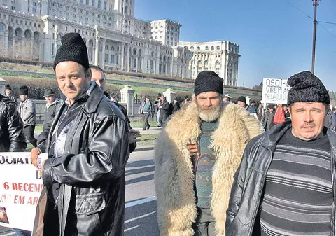 ANUNȚ de ultimă oră pentru ciobanii care au protestat la Parlament. Ce a decis Guvernul