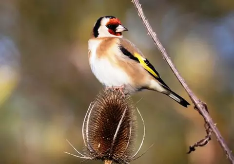 Dosar penal pentru câțiva sticleți! O femeie și un bărbat din București au necazuri mari cu legea