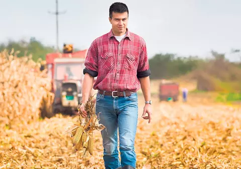 Veste bună! Se dă pământ gratuit dacă vrei să începi o afacere în domeniul agricol