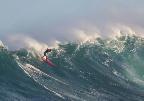 Ce poveste! Un rechin a aterizat pe placa unui surfer