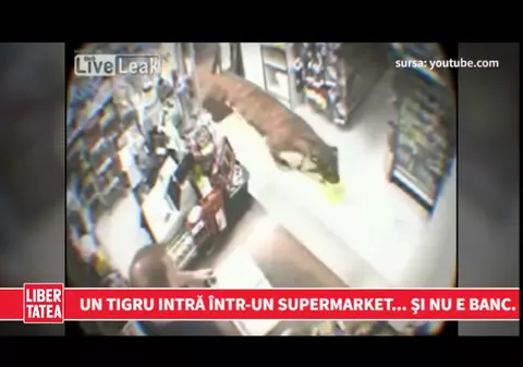 Un tigru intră într-un supermarket... Și nu e banc.