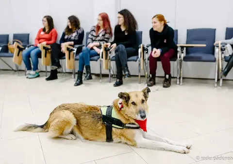Ce fac studenții din Cluj ca să ia note mari la examene. Se întâmplă în fiecare săptămână
