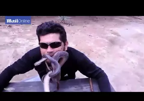 Cât CURAJ! Acest bărbat își bagă 4 șerpi VII în gură