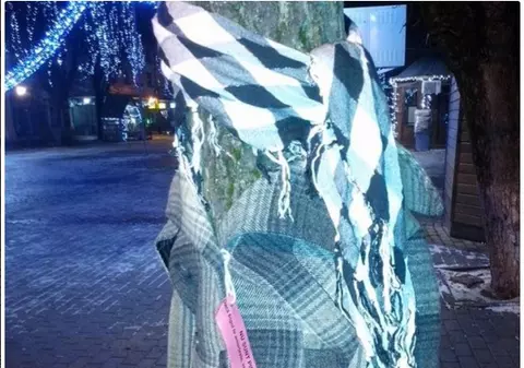 O bistrițeancă a importat inedita idee pentru a sări în ajutorul sărmanilor! A «îmbrăcat» copacii