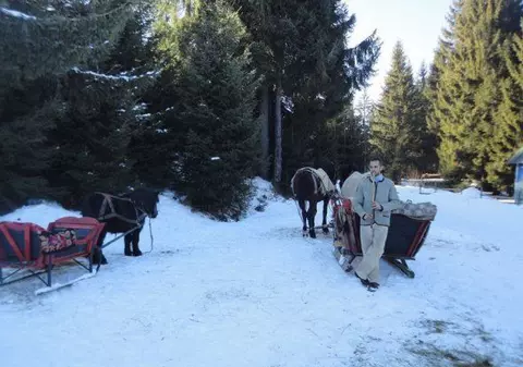 TRAGEDIE în Cavnic! “Dacul liber” s-a sinucis!