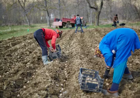 Fii atent când semnezi contractul cu arendașul!  Analizează cu atenție draftul pe care-l primești