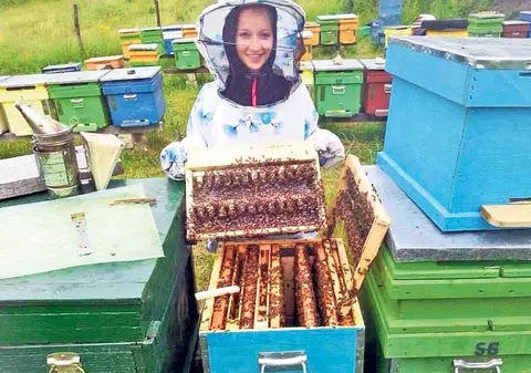 Mierea românească are LIPICI LA STRĂINI. Producția a fost scăzută de secetă