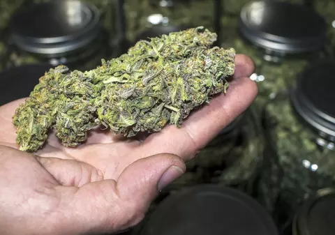 Traficanți de droguri din București, prinși în timp ce ridicau un colet de 4 kg de canabis