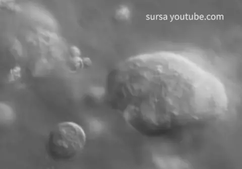 Uluitor! Cancerul apare din cauza unui ”ghinion”, susțin cercetătorii de la o universitate importantă