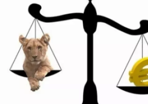 Este cea mai bună lună pentru moneda românească din ultimii ani. Cursul anunțat astăzi de BNR