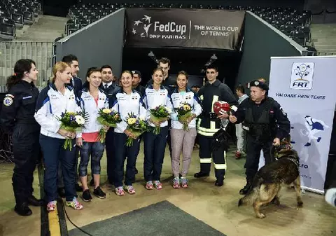 Biletele pentru meciul România - Germania s-au vândut ca pâinea caldă