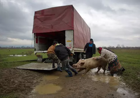 CELE MAI FRUMOASE FOTOGRAFII DIN LUME. Patru fotografi români sunt pe lista scurtă a unui mare concurs internațional