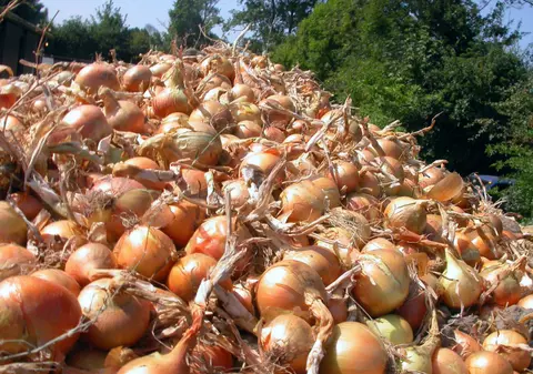 De ce plângi când tai ceapa şi ce trebuie să faci ca să nu mai lăcrimezi când găteşti