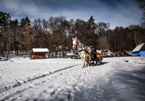 Nea Sami s-a mutat definitiv în muzeul din Dumbrava Sibiului: ”Vreau să mor aici!”