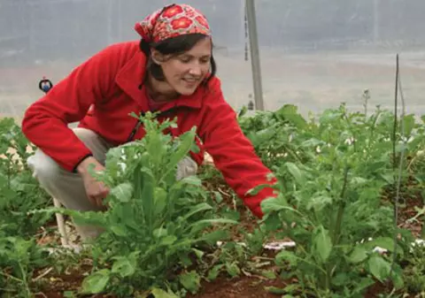 Statul îți dă pământ gratis să te faci fermier! E o singură condiție de îndeplinit