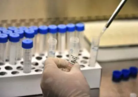 Alertă pentru românii care merg în Thailanda: s-a triplat numărul de cazuri de infecție cu virusul Zika