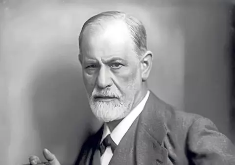 Era Freud obsedat sexual? A avut Jung amante? Sigur ai auzit despre marii psihiatri, dar ce ştii concret despre viaţa lor? Să vedem dacă zvonurile sunt adevărate...