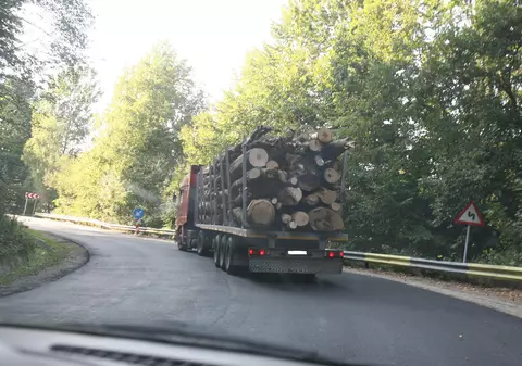 Din România s-au furat păduri în valoare de 36 de miliarde de euro!