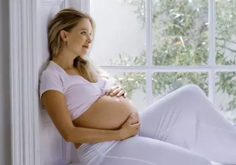 Iată ce trebuie să știe femeile însărcinate despre virusul Zika