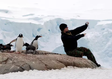 Zeci de oameni au aplicat pentru un job la capătul lumii. Vor lucra printre pinguini