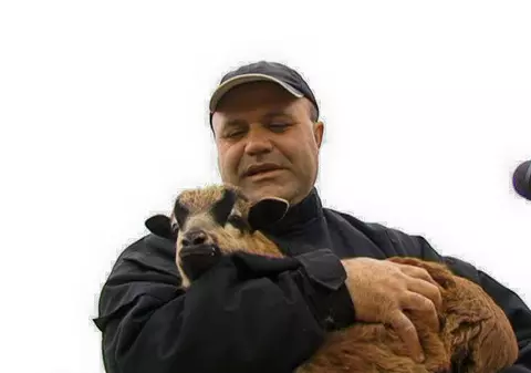 Globalizare MADE IN ROMANIA: Un iranian din Prahova crește porci vietnamezi și capre franceze