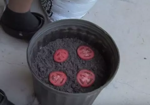 Puţini ştiu acest "truc". Ce se întâmplă dacă pui felii de roşii în pământ | VIDEO