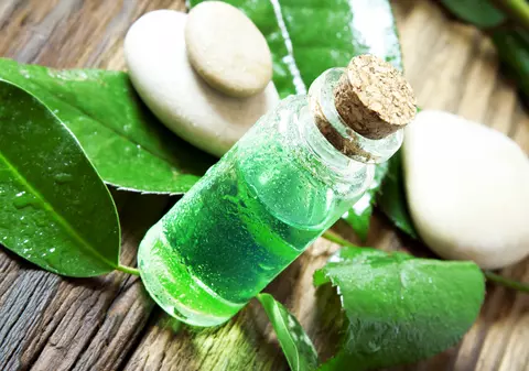 Uleiul –minune! Beneficii si utilizări ale uleiului esențial din arbore de ceai!