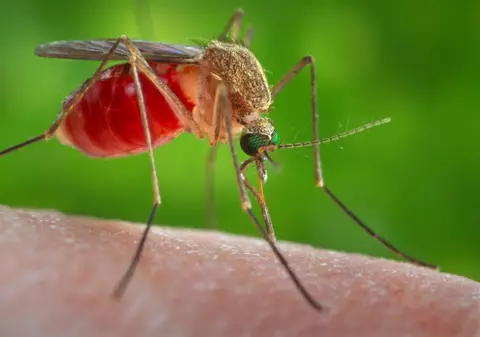 Este oficial! Coreea de Sud a raportat primul sau caz de infecţie cu virusul Zika!