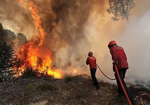 Incendiu puternic de vegetaţie în Harghita! Pompierii şi voluntarii încearcă să stingă focul!
