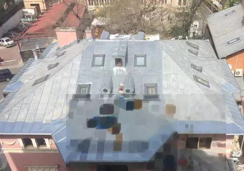 Somnoroase “păsărele”, pe case se adună! FOTO în articol