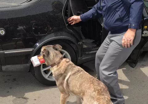 Câinele Ofa l-a ”înfundat” pe contrabandist