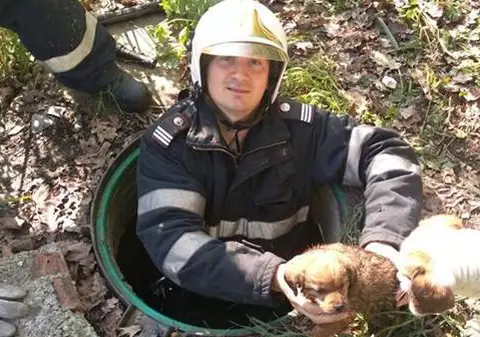 Misiune APROAPE IMPOSIBILĂ! Pompierii au salvat un cățel dintr-un canal extrem de îngust