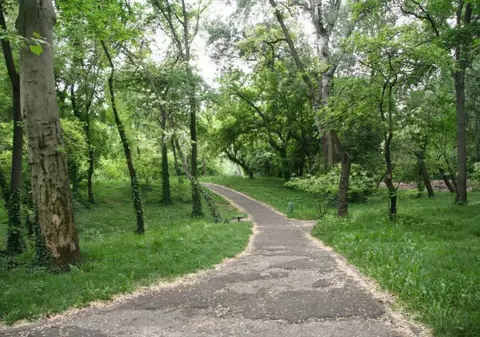 A ajuns la spital cu hemoragie puternică şi a minţit că a fost violată în Parcul Botanic din Timișoara! Ce s-a întâmplat, de fapt, cu tânăra!