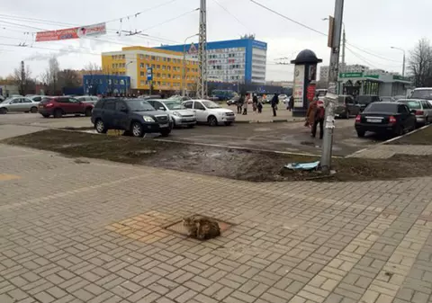 O pisică refuză să plece din locul în care stăpânul a părăsit-o în urmă cu un an FOTO
