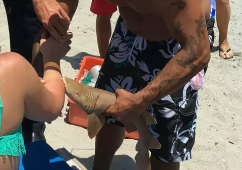 O femeie a ajuns la spital cu tot cu rechinul care a muşcat-o de mână | FOTO