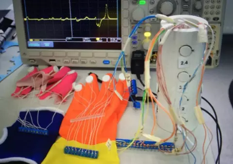 Micii români geniali: au inventat bacteria magnetică și cresc siguranța la volan