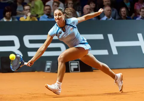 Monica Niculescu a fost nominalizată de WTA pentru lovitura lunii aprilie / VIDEO