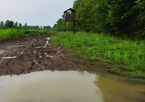 Evenimentul ”La Broaște”, din 28 mai, a fost reprogramat! Ploaia, bat-o vina! Iată cum arată traseul / GALERIE FOTO