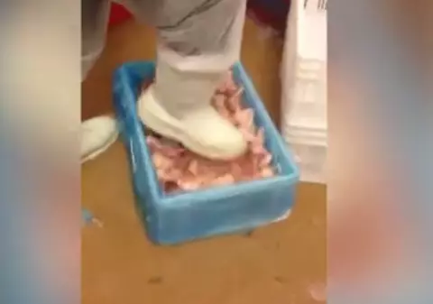 Imagini dezgustătoare! Cum sunt decongelate aripioarele de pui într-o fabrică europeană | VIDEO