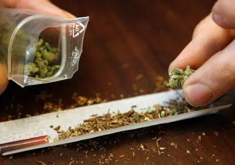 Trei elevi din Suceava, prinşi cu zeci de ghivece de cannabis. Le spuneau părinţilor că sunt pentru ora de botanică
