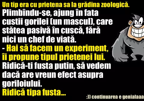 BANC: La grădina zoologica...