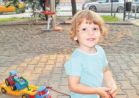 Condamnare cu executare în cazul copilului sfâșiat de câini. Familia lui Ionuț Anghel va primi 2,4 milioane de euro despăgubiri