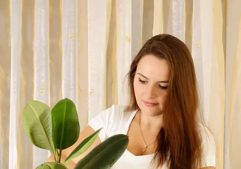 Vrei să ai plante frumoase acasă, care să aibă o viaţă cât mai lungă? Pune în practică trucurile noastre