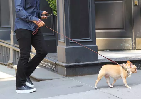 Cântărețul John Legend a fost eclipsat de câinele său | FOTO