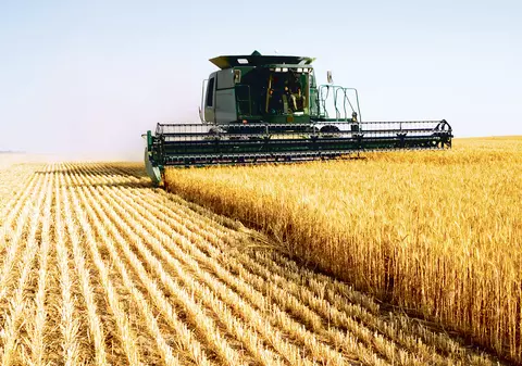 Fermierii nu își pot primi banii:  Sistemul de operare a subvențiilor în agricultură,  în valoare de 1,86 milioane de euro, s-a blocat
